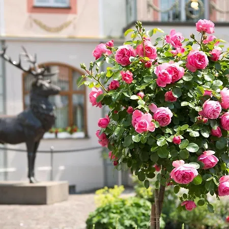 Hirsch Hotel Füssen