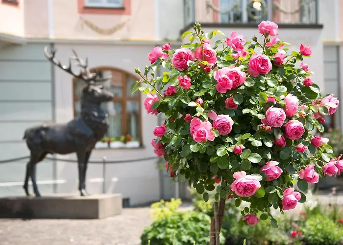 Hirsch Hotel Füssen