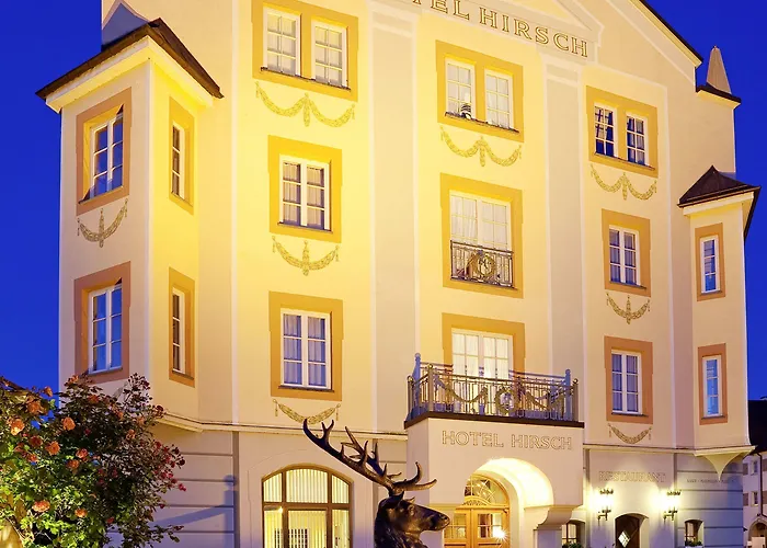 Hirsch